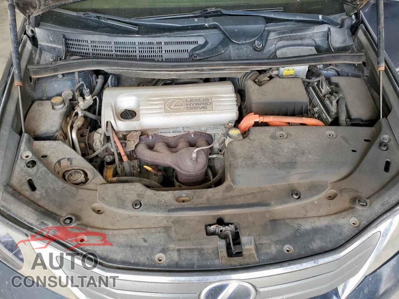 LEXUS HS 2010 - JTHBB1BA7A2037582