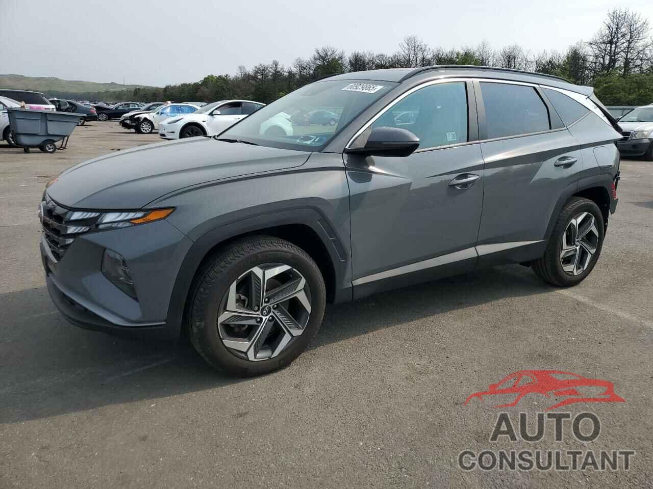 HYUNDAI TUCSON 2024 - 5NMJFCDE7RH430969