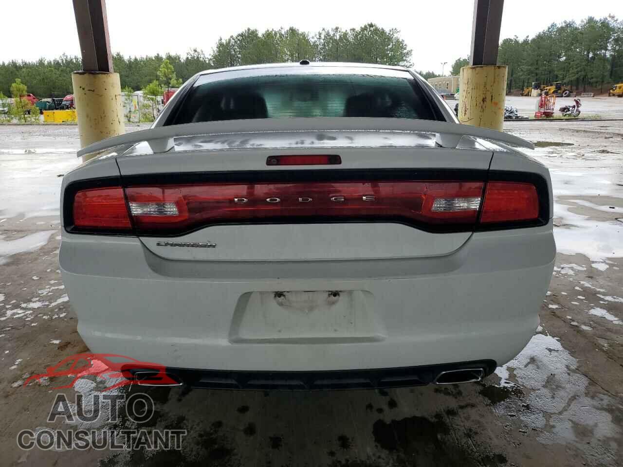 DODGE CHARGER 2014 - 2C3CDXHGXEH319635