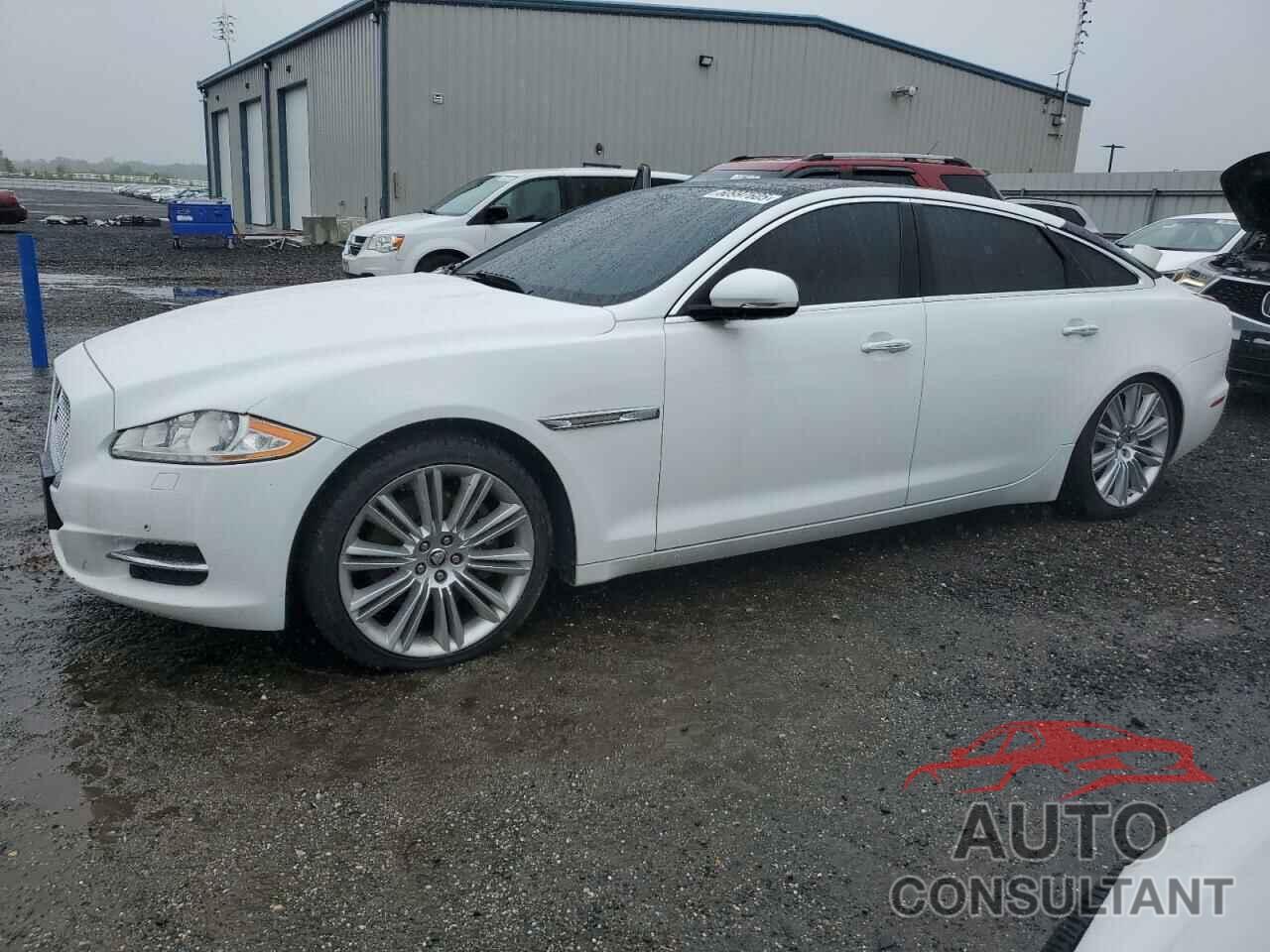 JAGUAR XJ 2013 - SAJWJ2GD3D8V47901