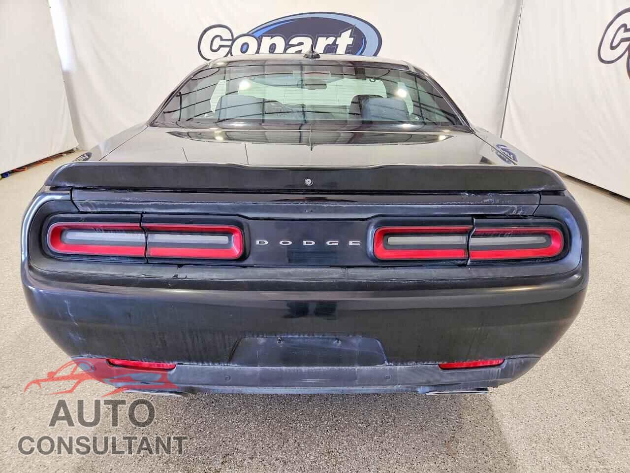 DODGE CHALLENGER 2019 - 2C3CDZBT6KH616379