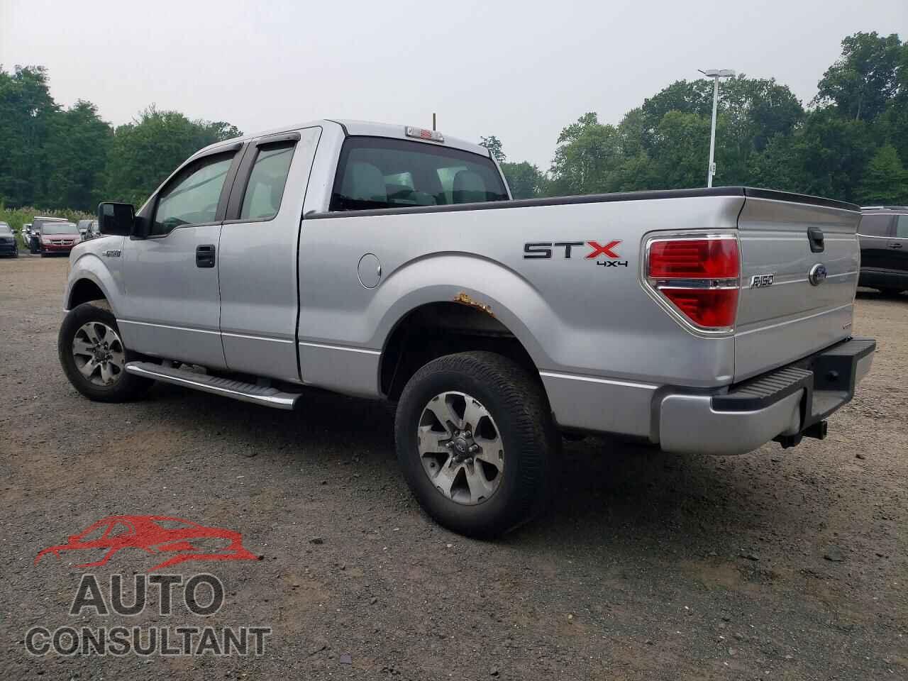 FORD F150 2013 - 1FTFX1EF1DFD61054