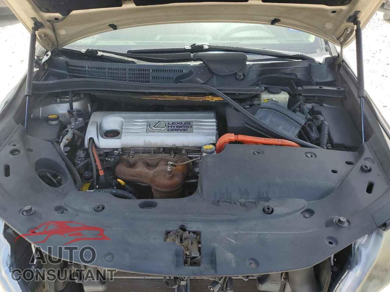 LEXUS HS 2011 - JTHBB1BA5B2046718