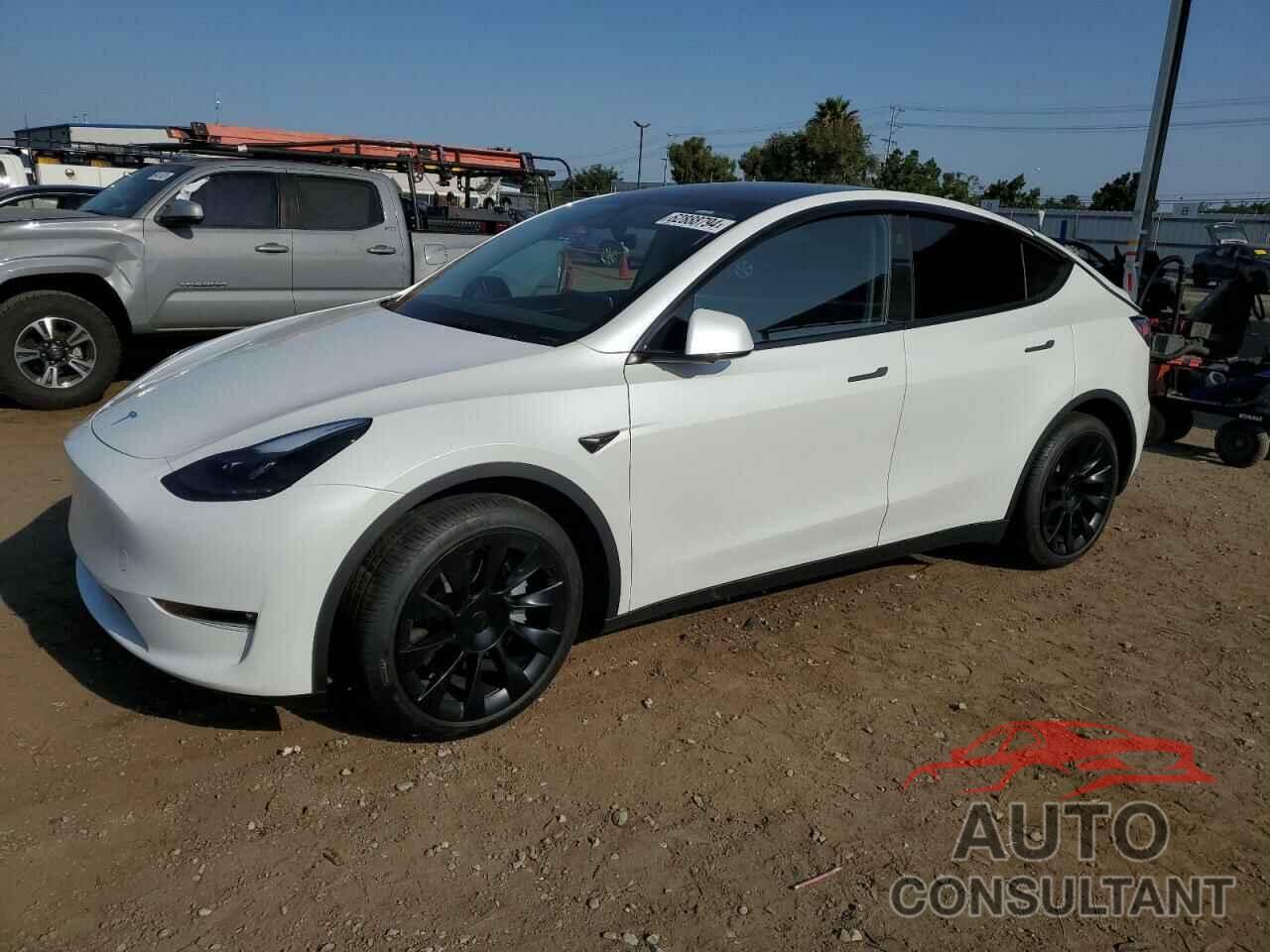 TESLA MODEL Y 2024 - 7SAYGAEE0RF015544