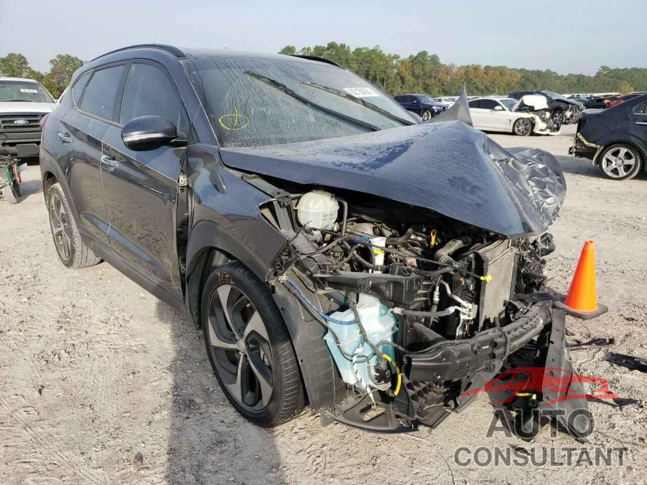HYUNDAI TUCSON 2016 - KM8J33A29GU239686