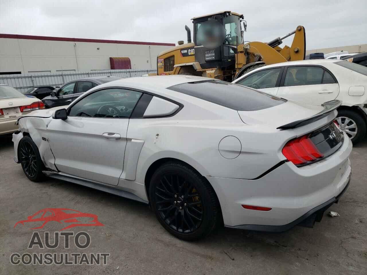 FORD MUSTANG 2019 - 1FA6P8CF8K5163706