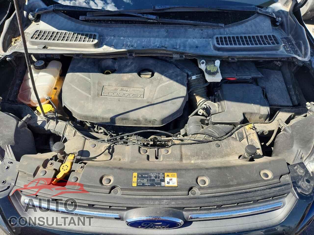 FORD ESCAPE 2014 - 1FMCU0G96EUB64113