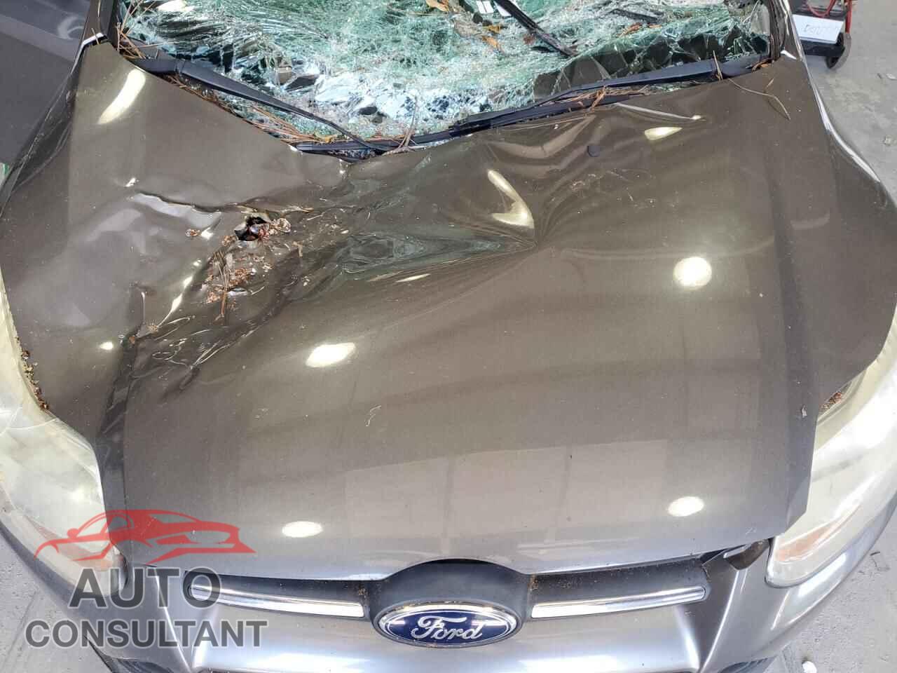 FORD FOCUS 2013 - 1FADP3F20DL305984