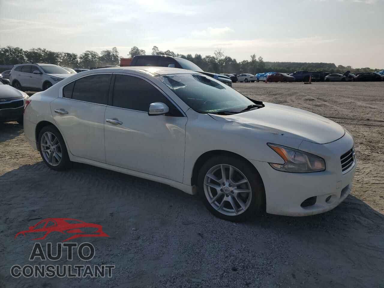 NISSAN MAXIMA 2010 - 1N4AA5AP8AC848286