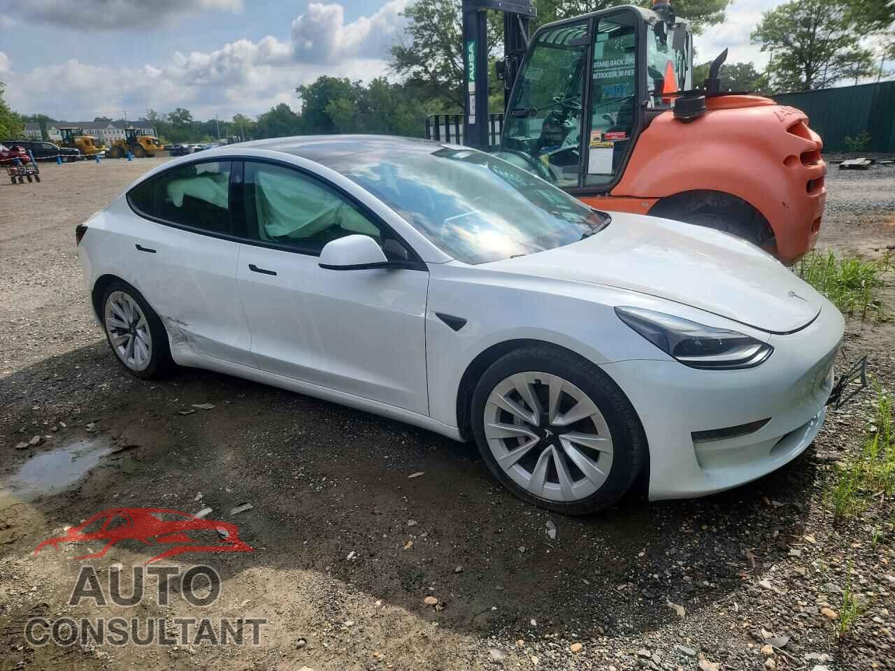 TESLA MODEL 3 2021 - 5YJ3E1EA2MF053344