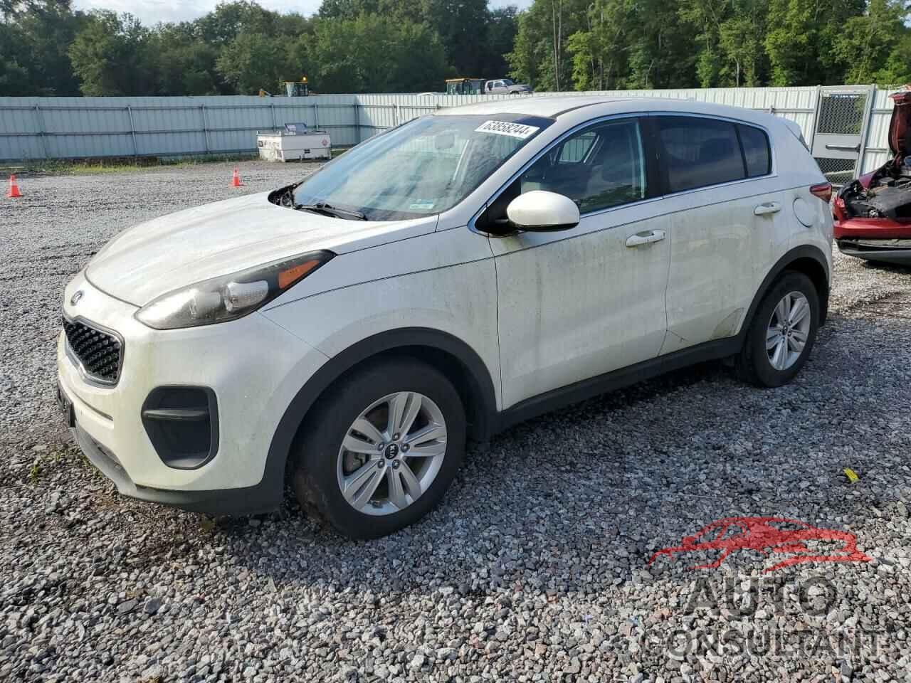 KIA SPORTAGE 2017 - KNDPM3AC8H7103327