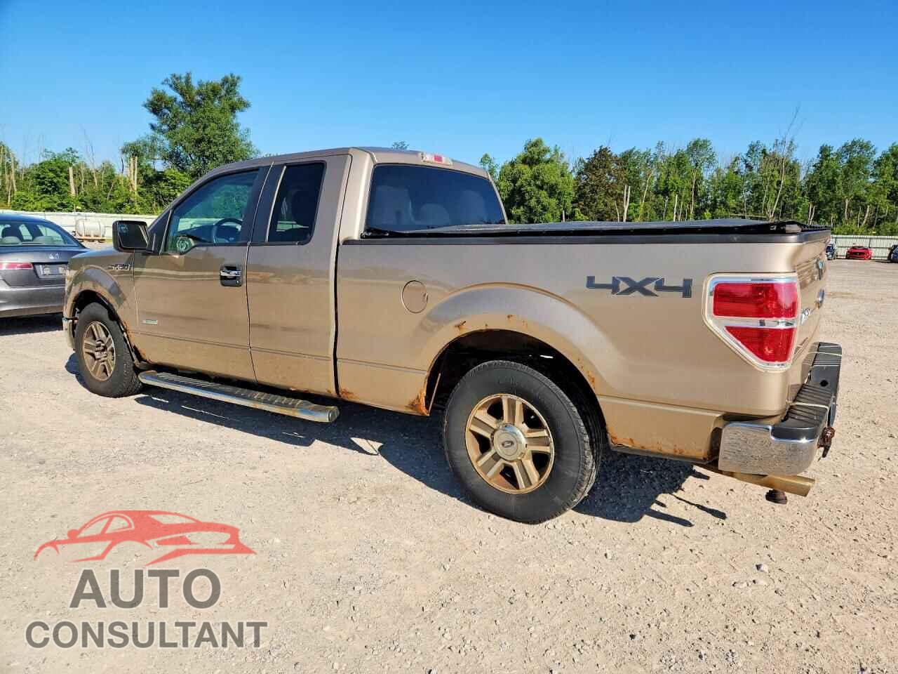 FORD F150 2012 - 1FTFX1ET9CFB52424
