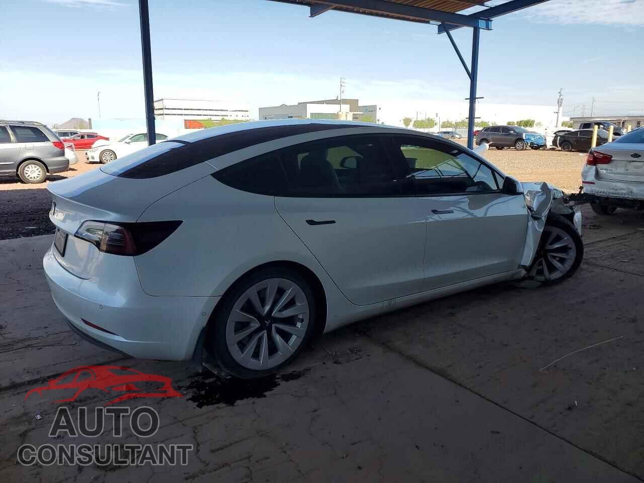 TESLA MODEL 3 2021 - 5YJ3E1EA1MF073102