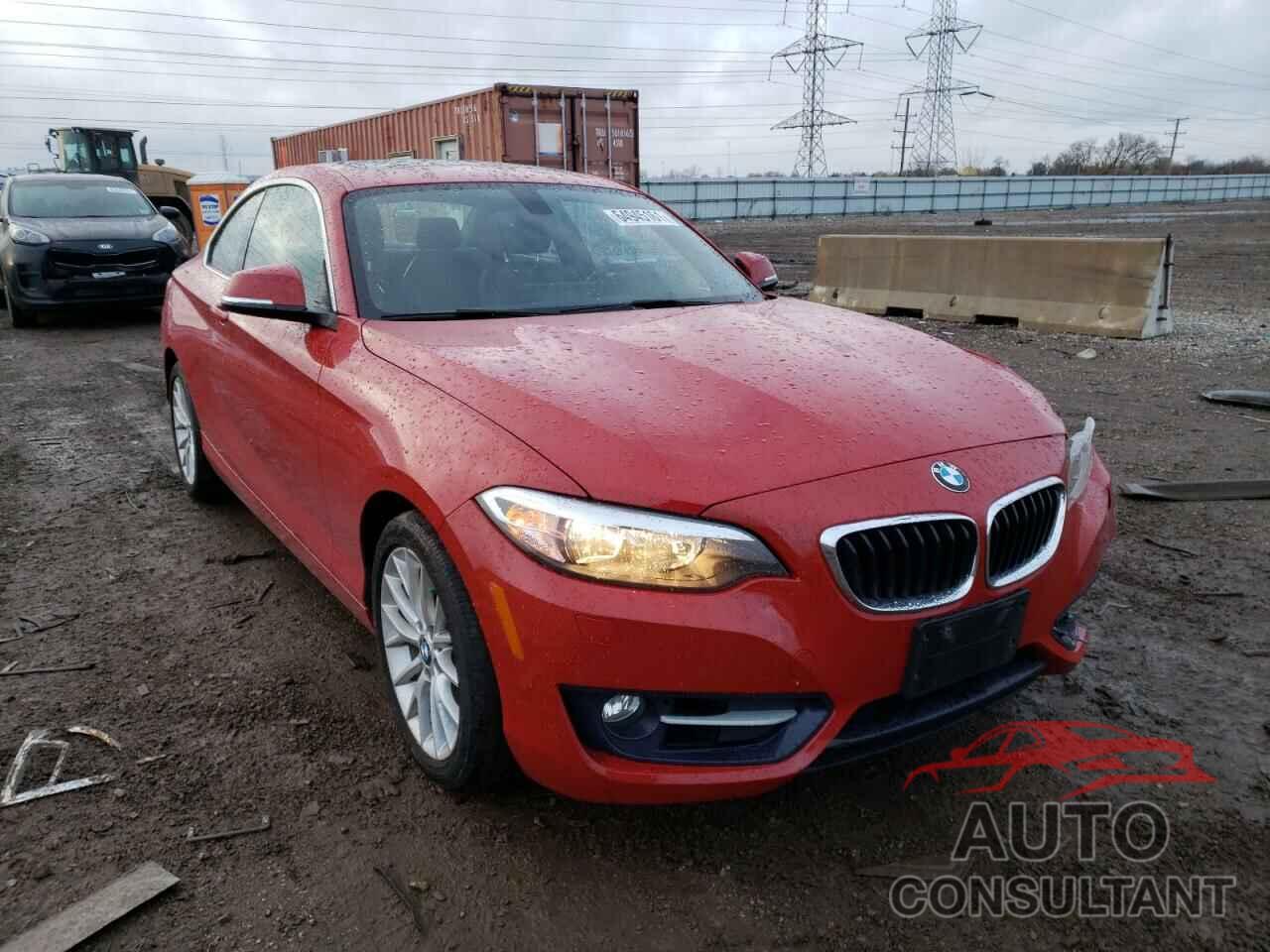 BMW 2 SERIES 2016 - WBA1G9C54GV598311