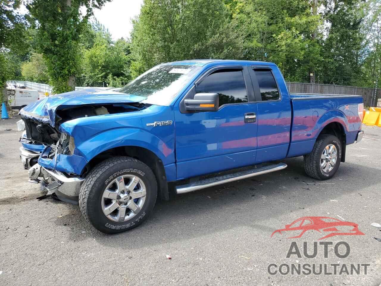 FORD F-150 2014 - 1FTFX1EF1EFC10166