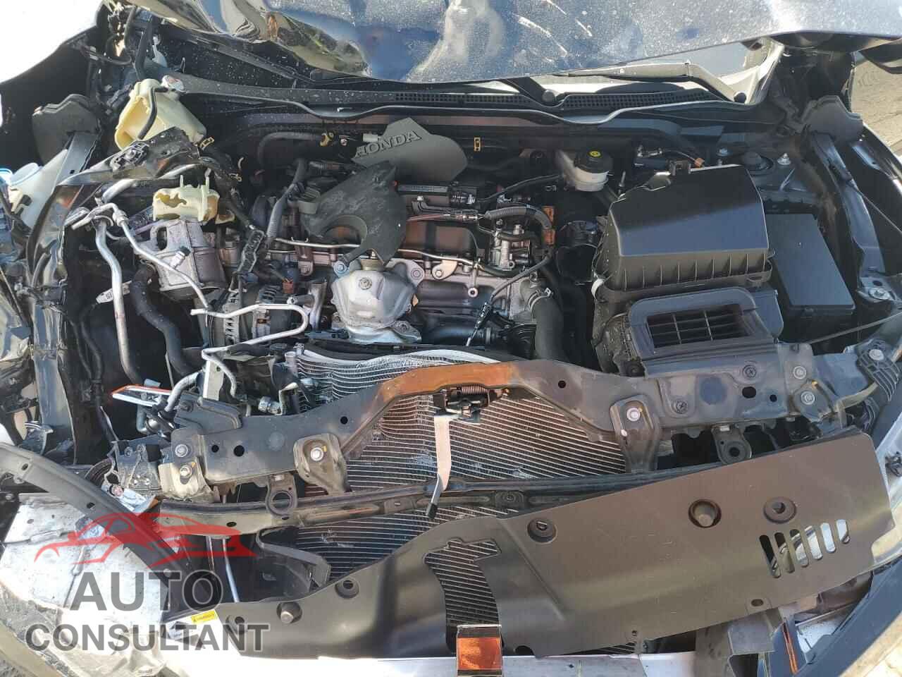 HONDA CIVIC 2016 - 2HGFC2F71GH522449