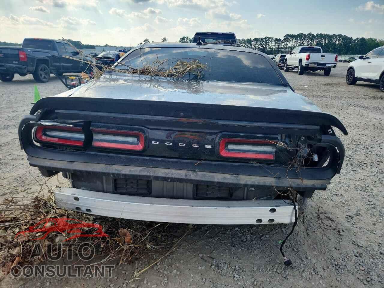 DODGE CHALLENGER 2019 - 2C3CDZFJ0KH723856