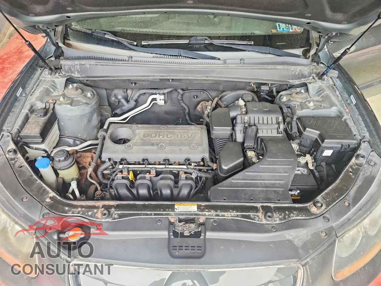 HYUNDAI SANTA FE 2010 - 5NMSGDAB9AH407991