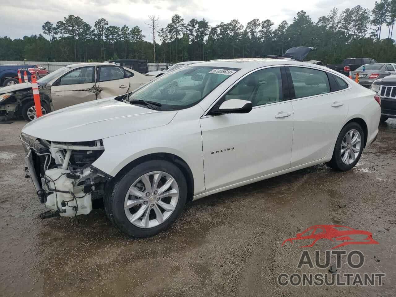 CHEVROLET MALIBU 2019 - 1G1ZD5ST7KF192896