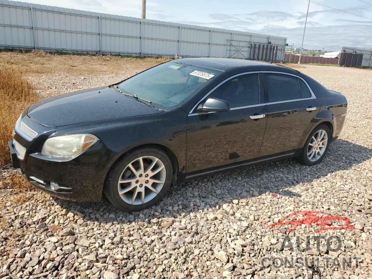 CHEVROLET MALIBU 2010 - 1G1ZE5EB5AF146563