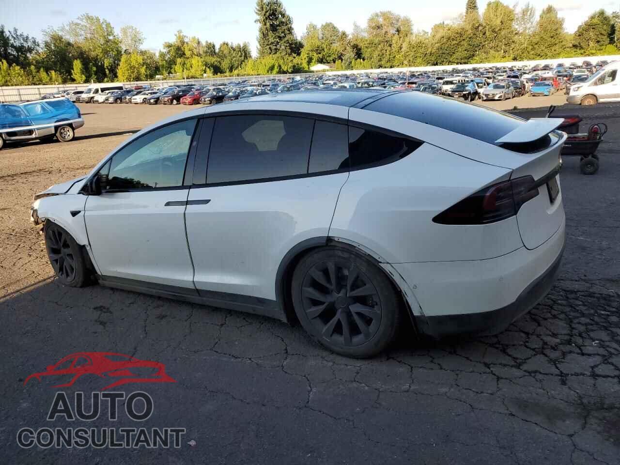 TESLA MODEL X 2023 - 7SAXCDE5XPF381081