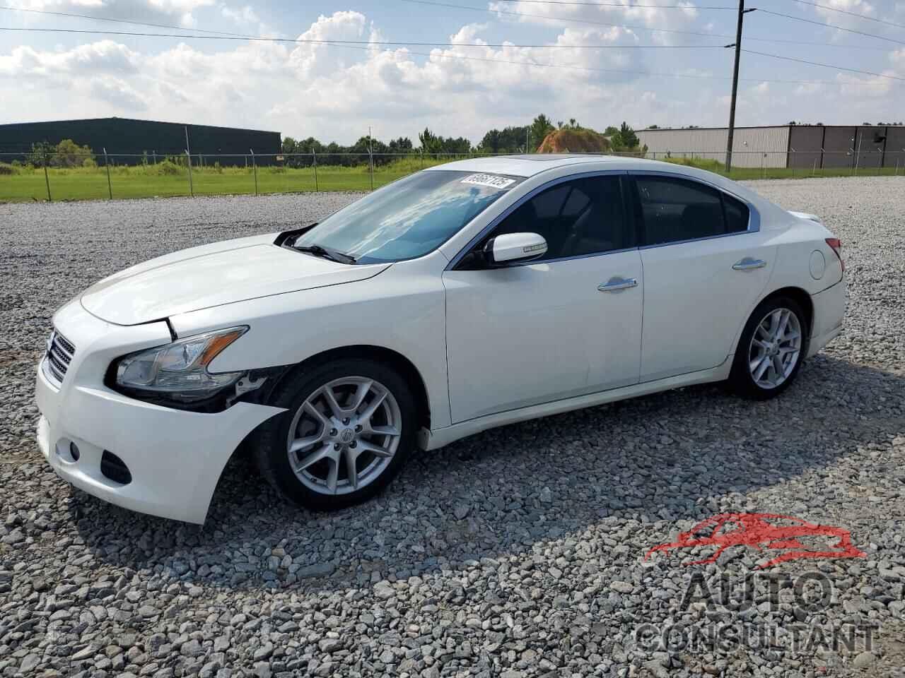 NISSAN MAXIMA 2011 - 1N4AA5AP9BC840778