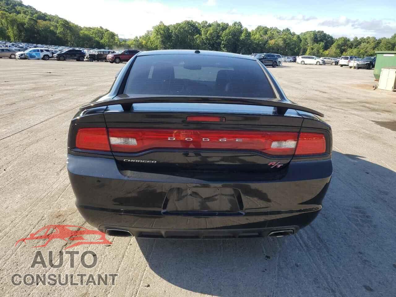 DODGE CHARGER 2013 - 2C3CDXCT2DH730305