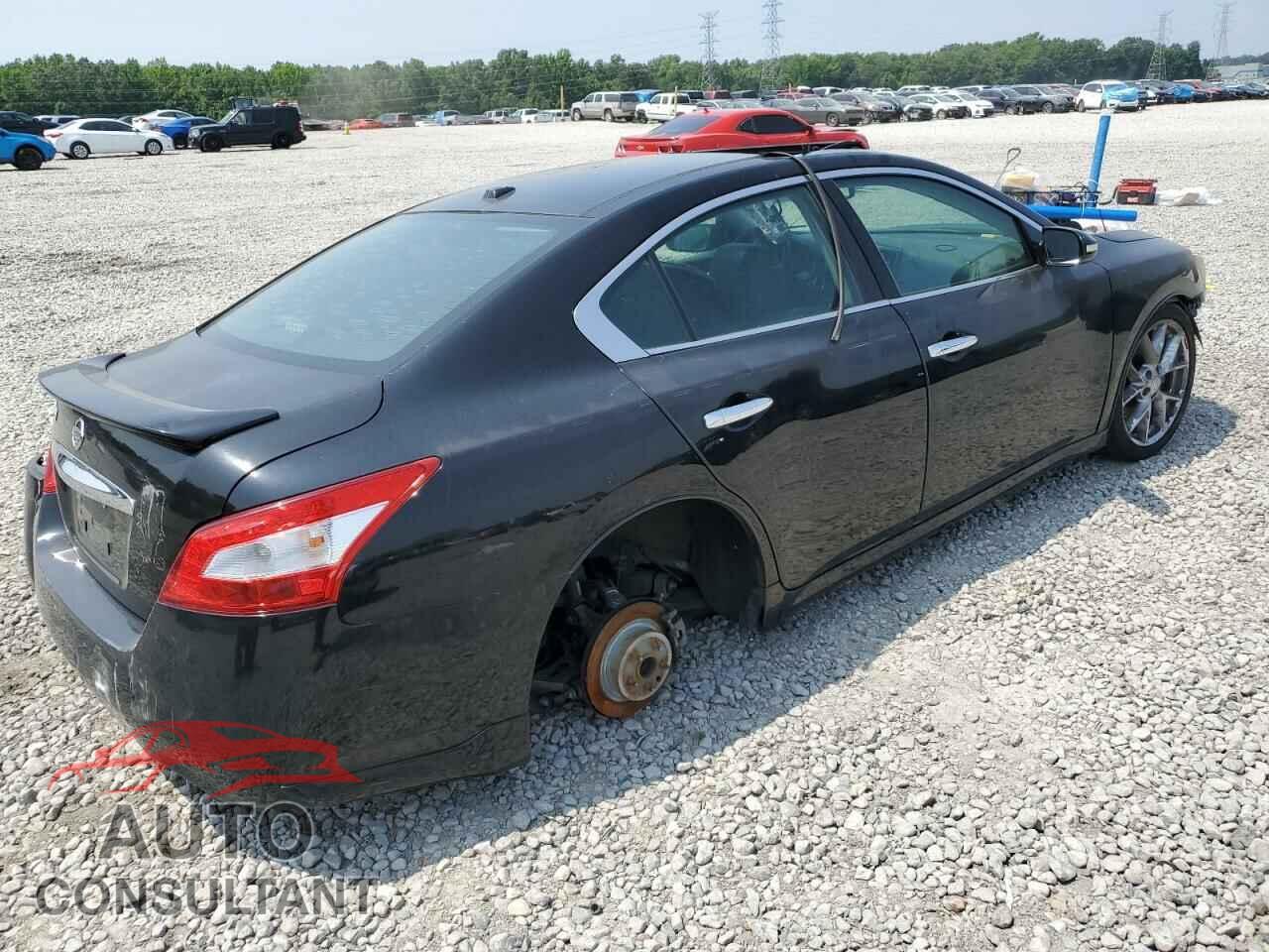 NISSAN MAXIMA 2009 - 1N4AA51EX9C857341