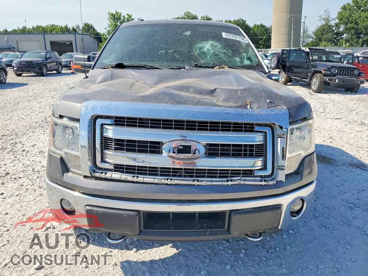 FORD F150 2014 - 1FTFX1EF7EFA43229