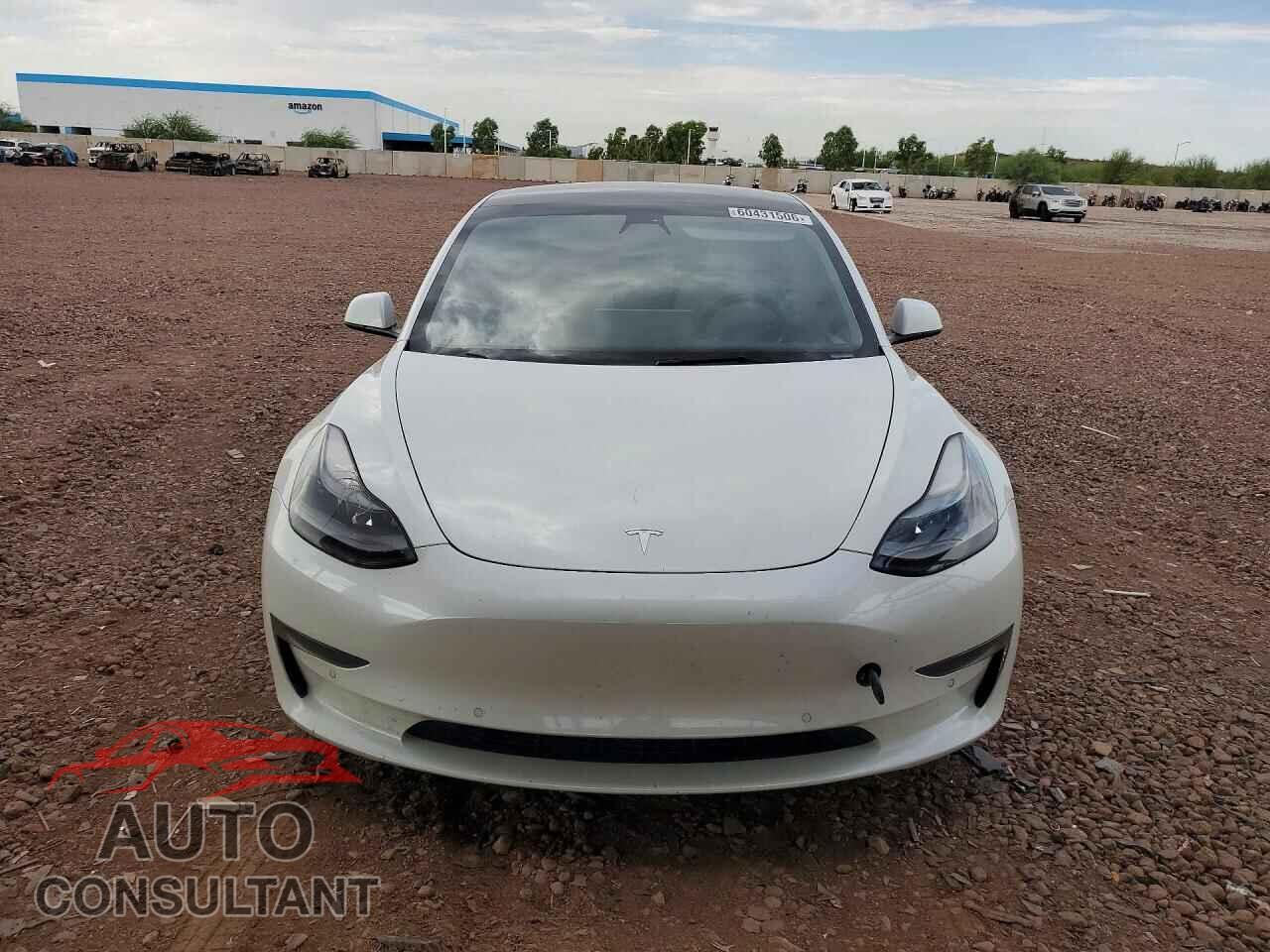 TESLA MODEL 3 2021 - 5YJ3E1EA1MF096010