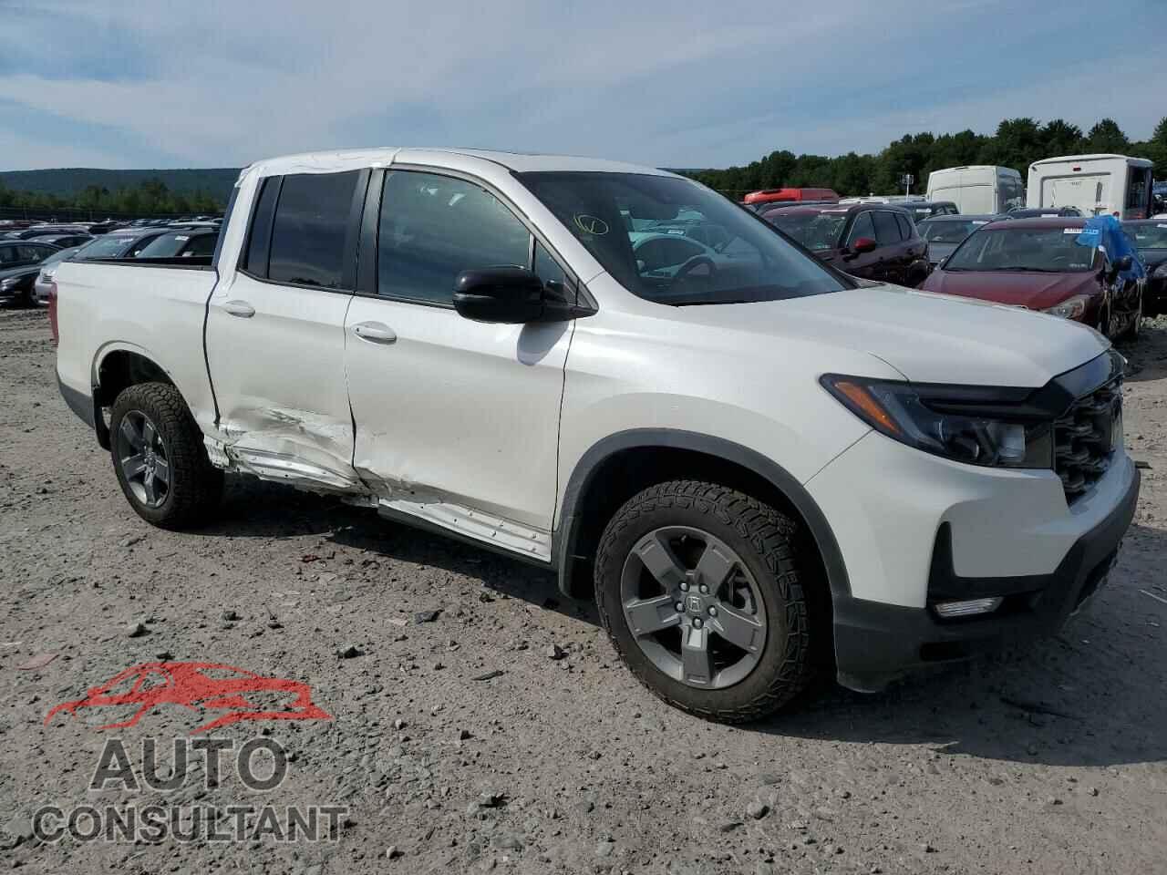 HONDA RIDGELINE 2024 - 5FPYK3F69RB002894