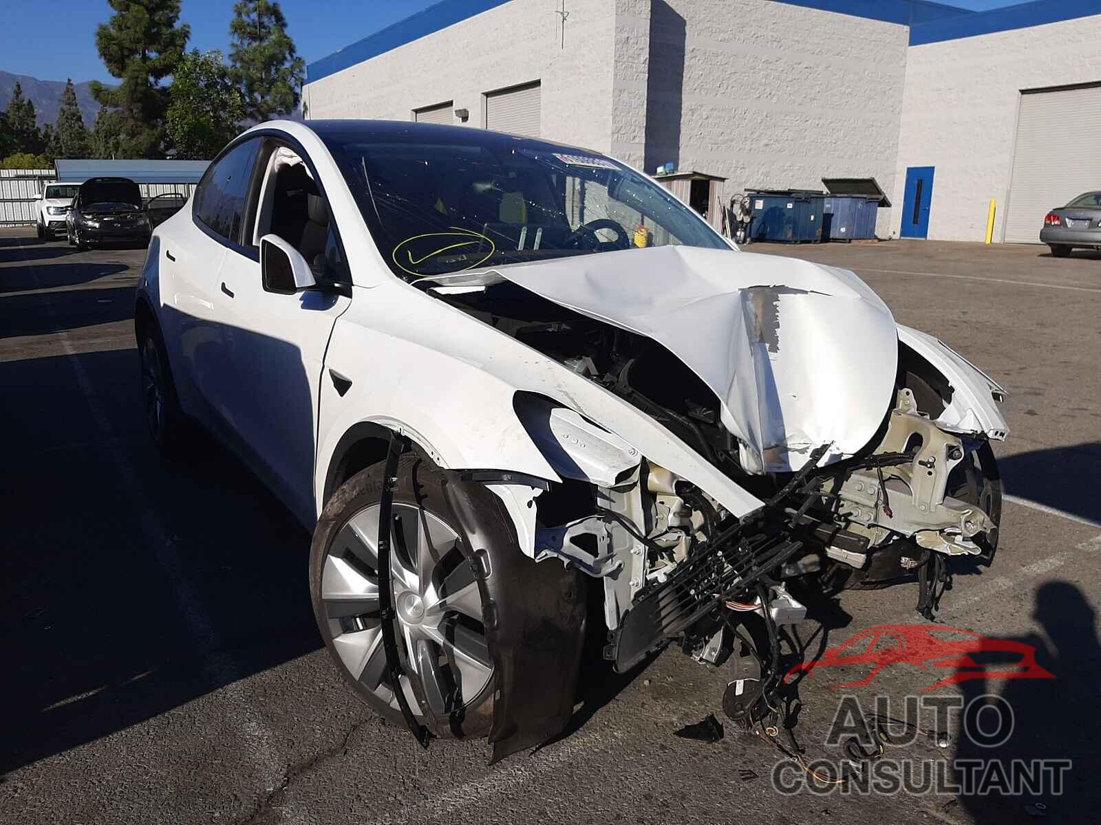 TESLA MODEL Y 2021 - 5YJYGDEE8MF095117