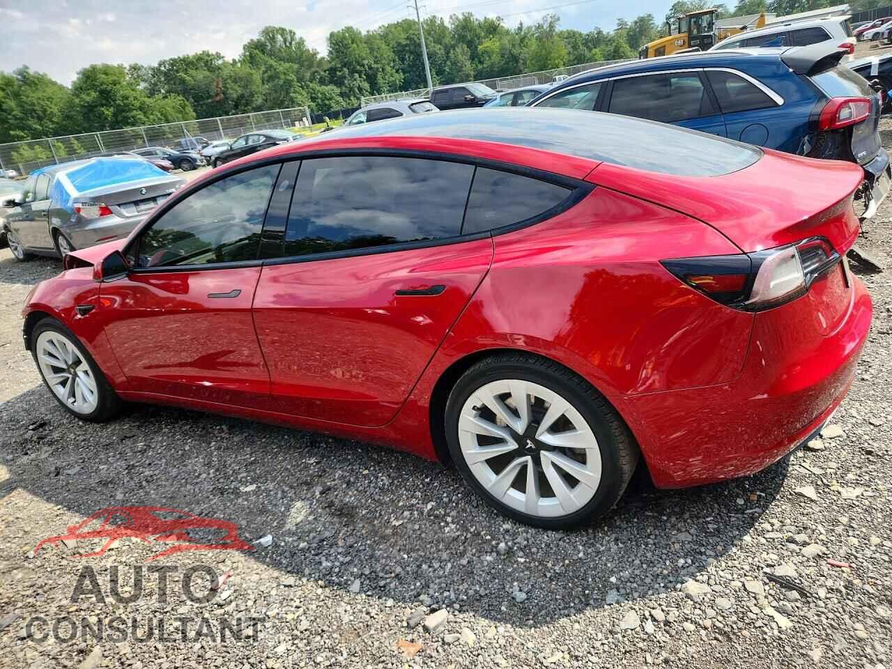 TESLA MODEL 3 2021 - 5YJ3E1EA2MF029268