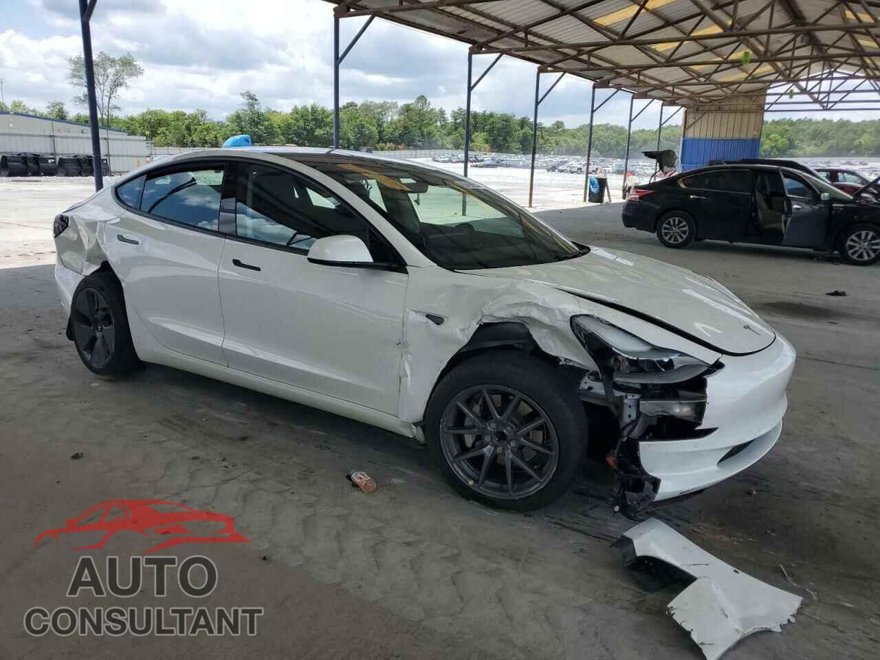 TESLA MODEL 3 2021 - 5YJ3E1EA3MF955517