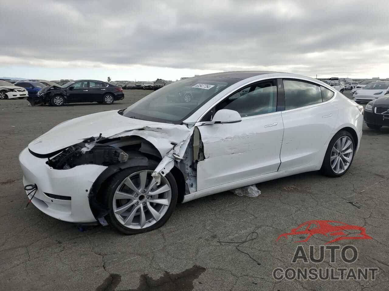 TESLA MODEL 3 2019 - 5YJ3E1EA4KF301462