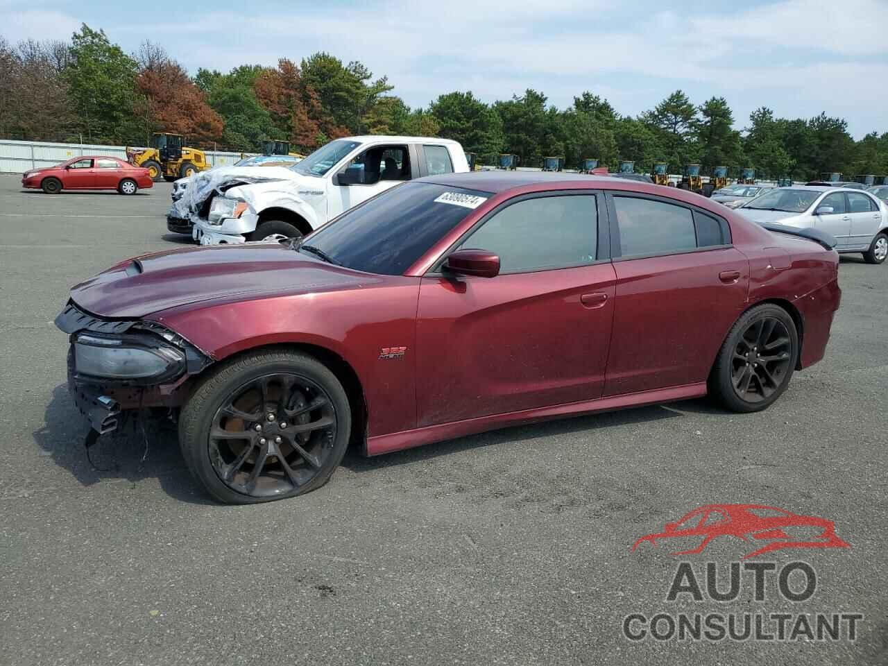DODGE CHARGER 2020 - 2C3CDXGJXLH130266