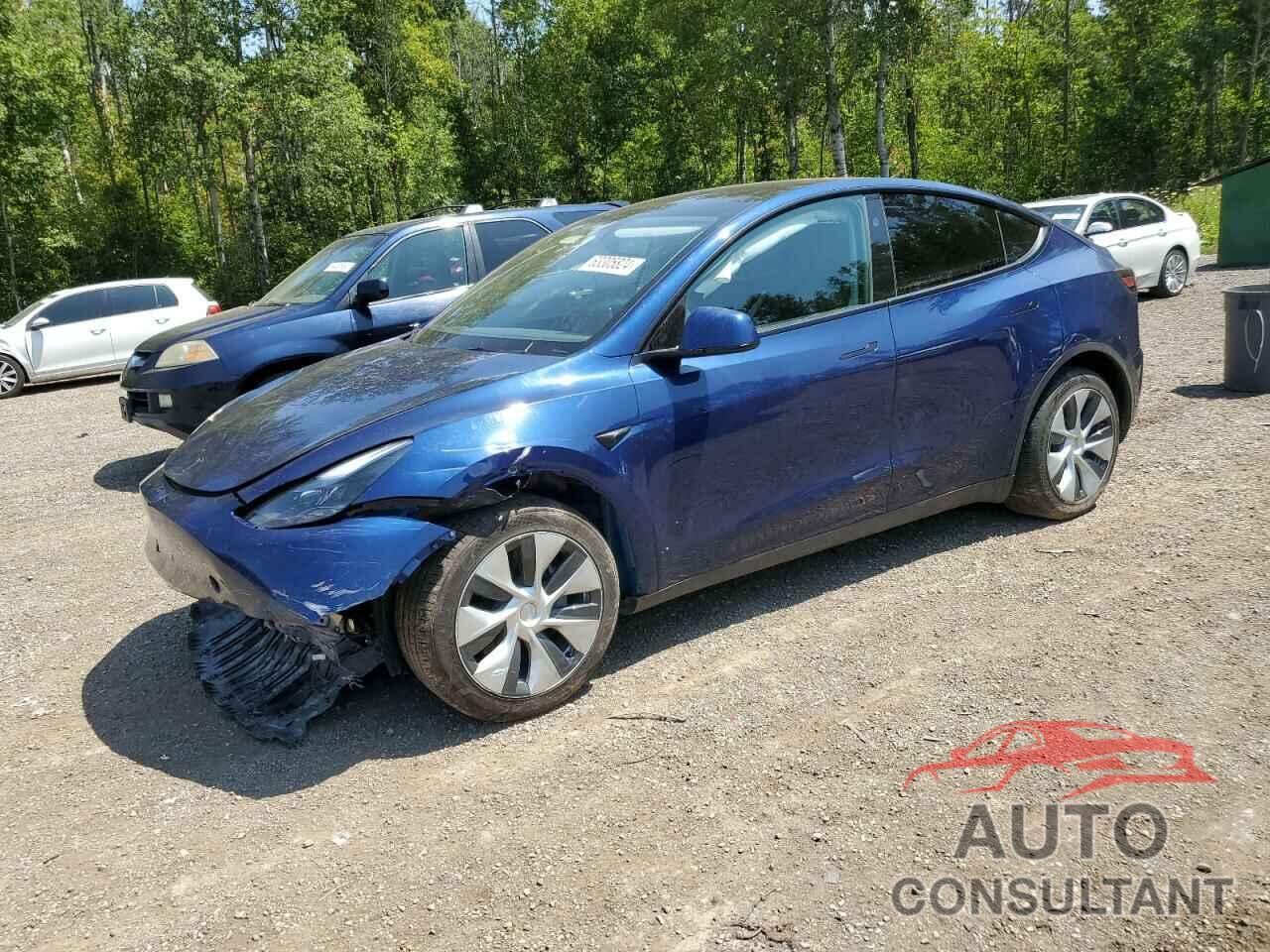 TESLA MODEL Y 2024 - 7SAYGDED8RF035632