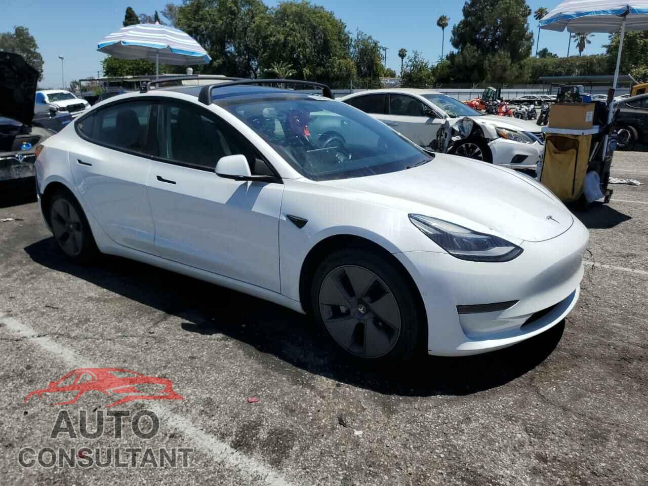 TESLA MODEL 3 2021 - 5YJ3E1EA8MF021966