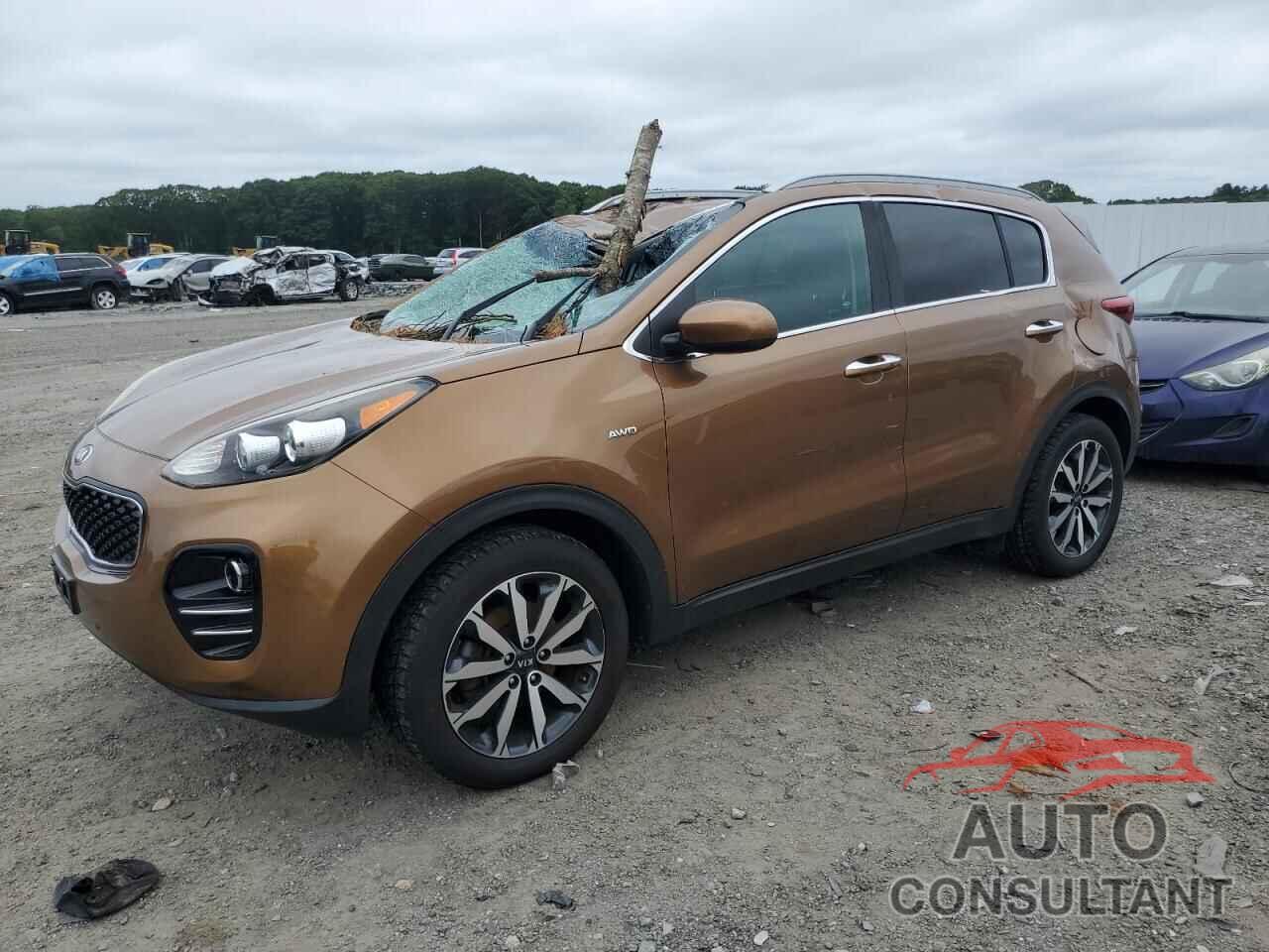 KIA SPORTAGE 2017 - KNDPNCAC1H7299916