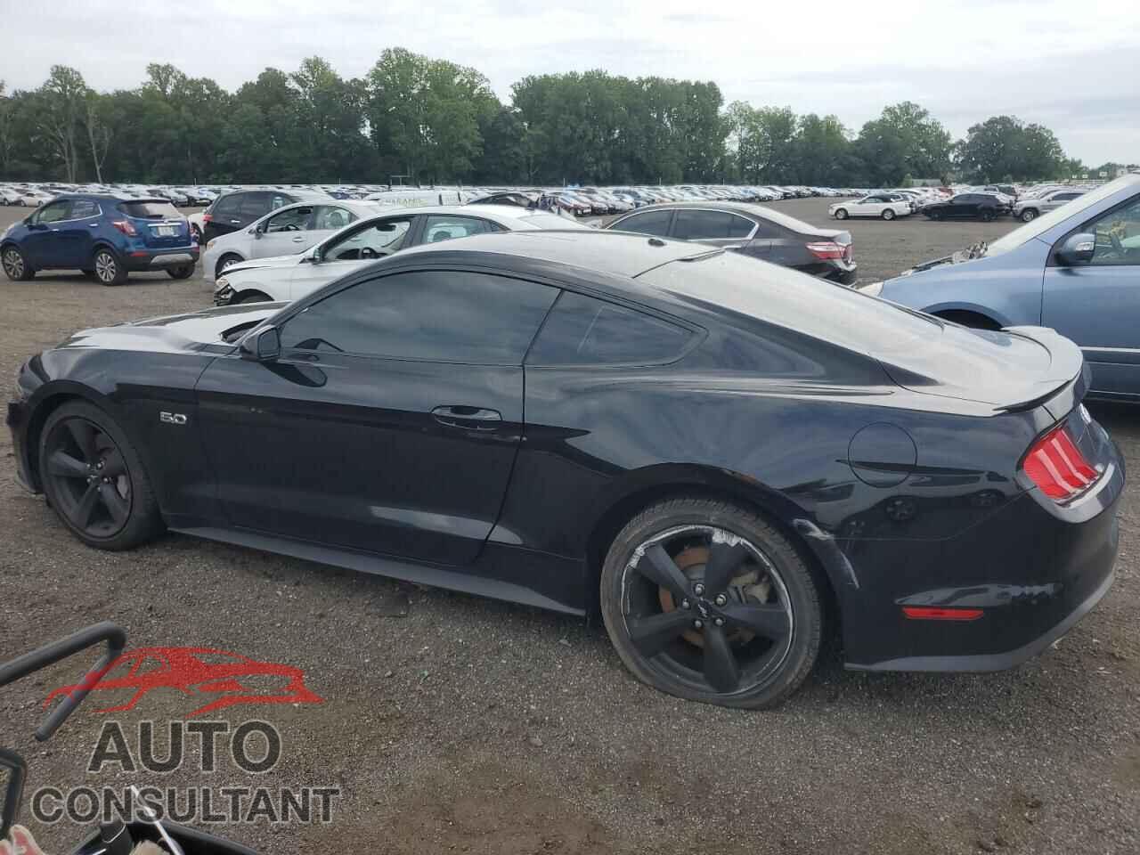 FORD MUSTANG 2019 - 1FA6P8CF2K5142205