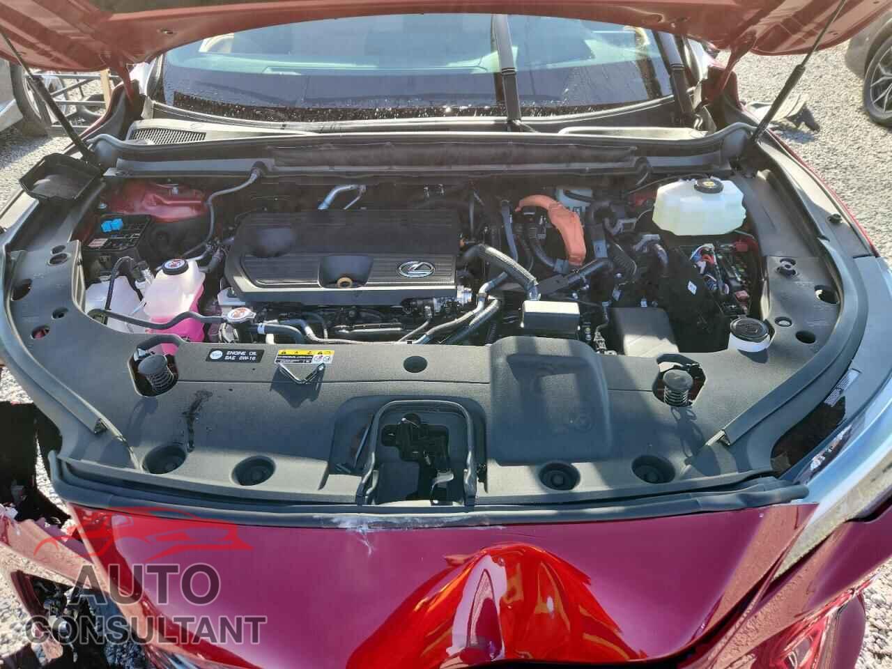 LEXUS UNKNOWN 2026 - 2T2BBMCA1TC138232