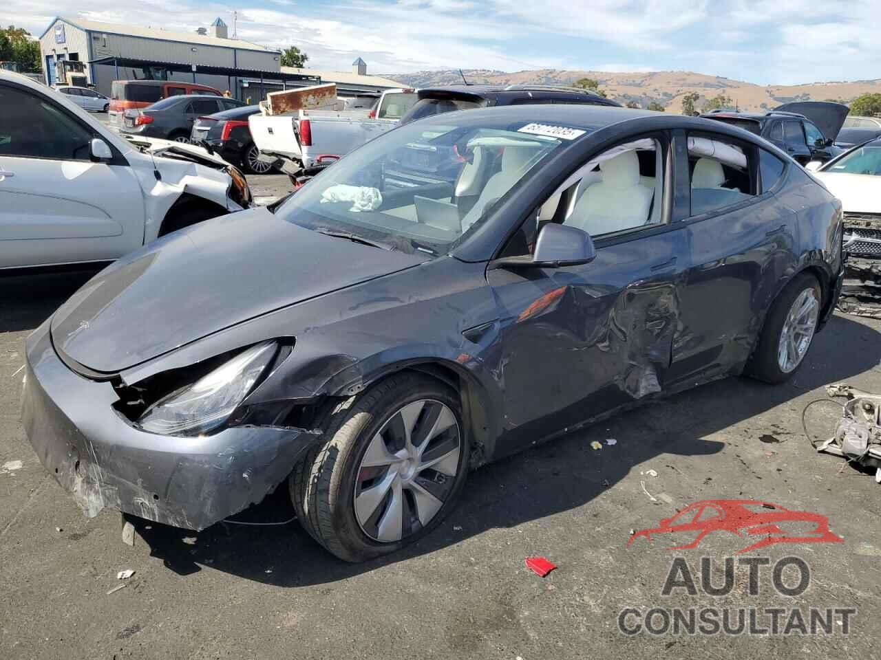 TESLA MODEL Y 2021 - 5YJYGDEE6MF093284
