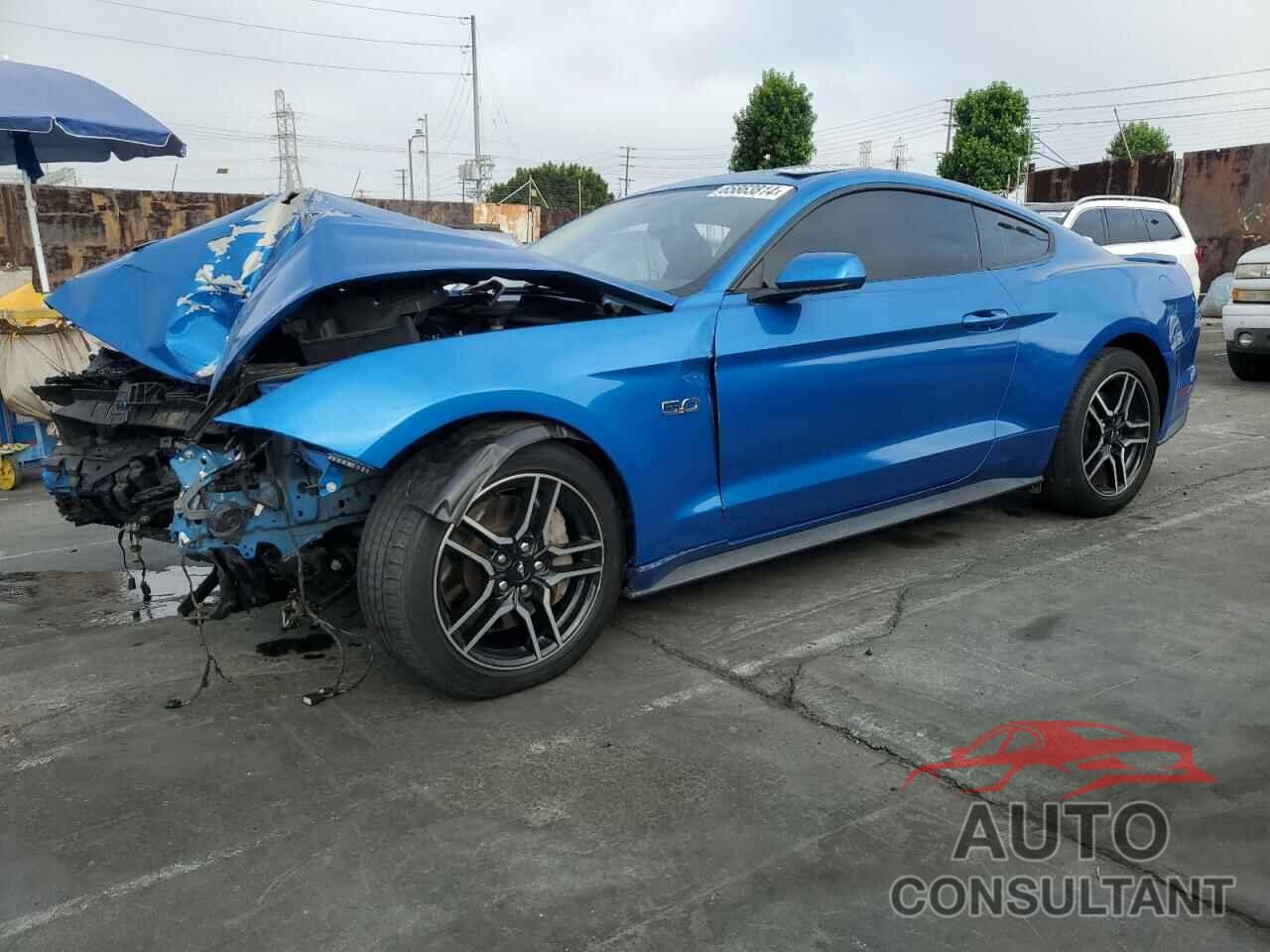 FORD MUSTANG 2019 - 1FA6P8CF6K5118747