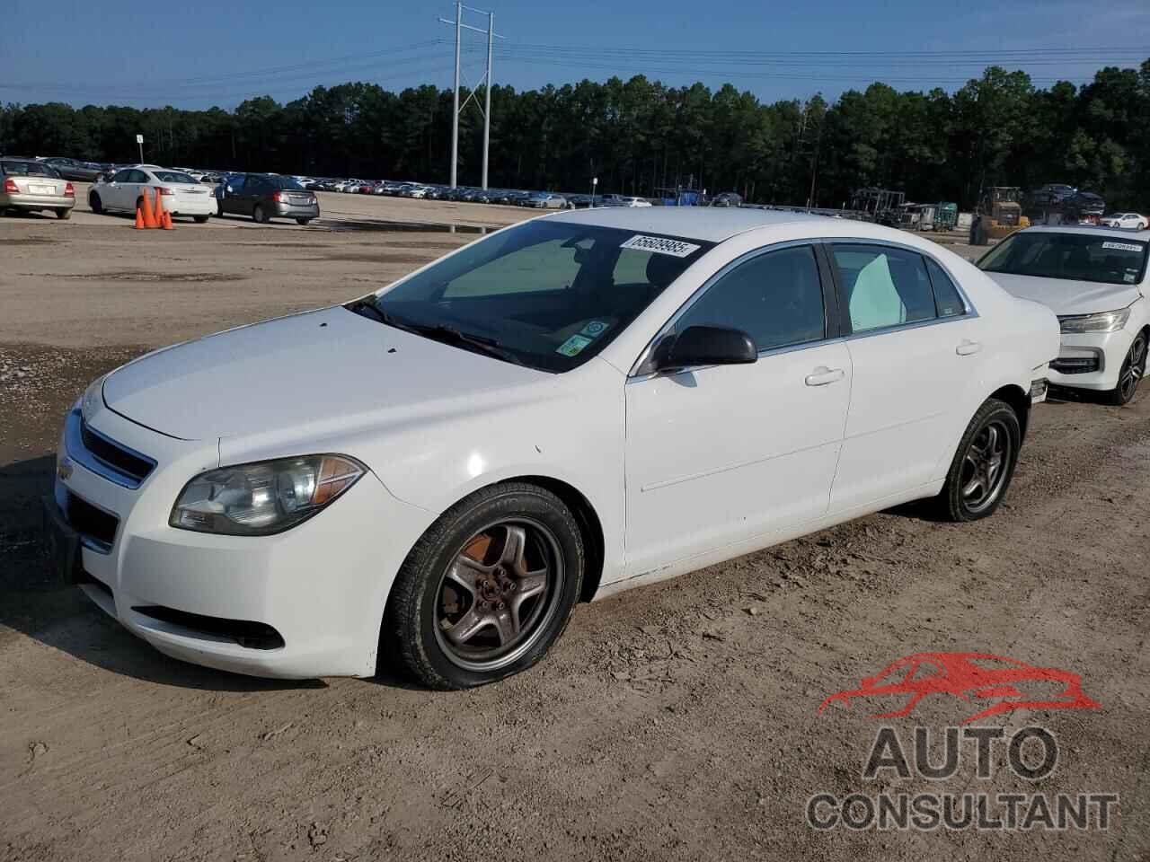CHEVROLET MALIBU 2012 - 1G1ZA5EU8CF393088