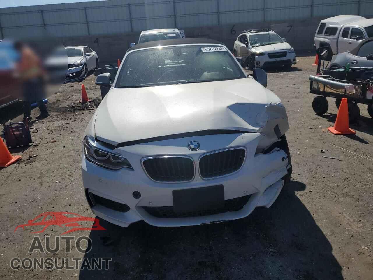 BMW M2 2017 - WBA2L1C3XHV666645