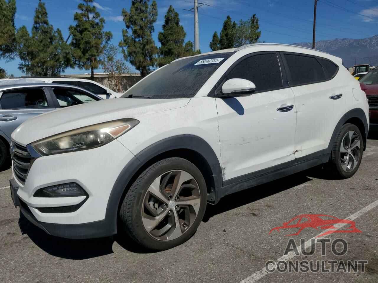 HYUNDAI TUCSON 2016 - KM8J33A26GU125516