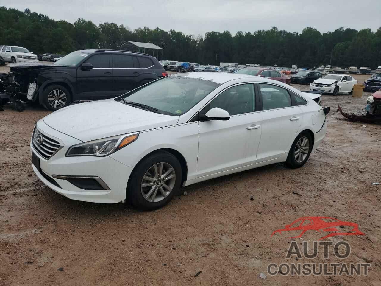 HYUNDAI SONATA 2017 - 5NPE24AF6HH580914