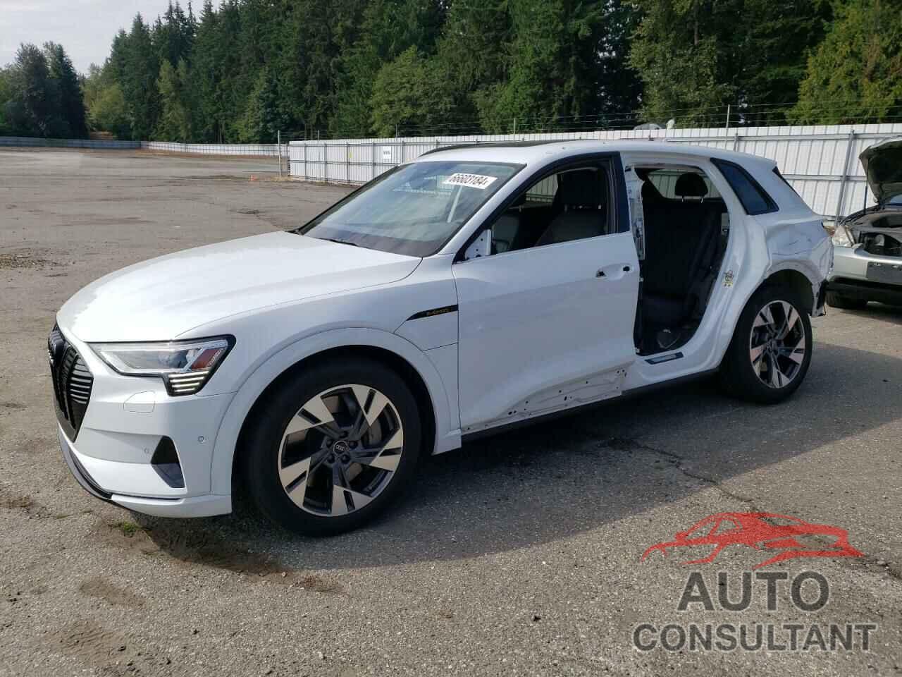 AUDI E-TRON 2022 - WA1AAAGE0NB044501