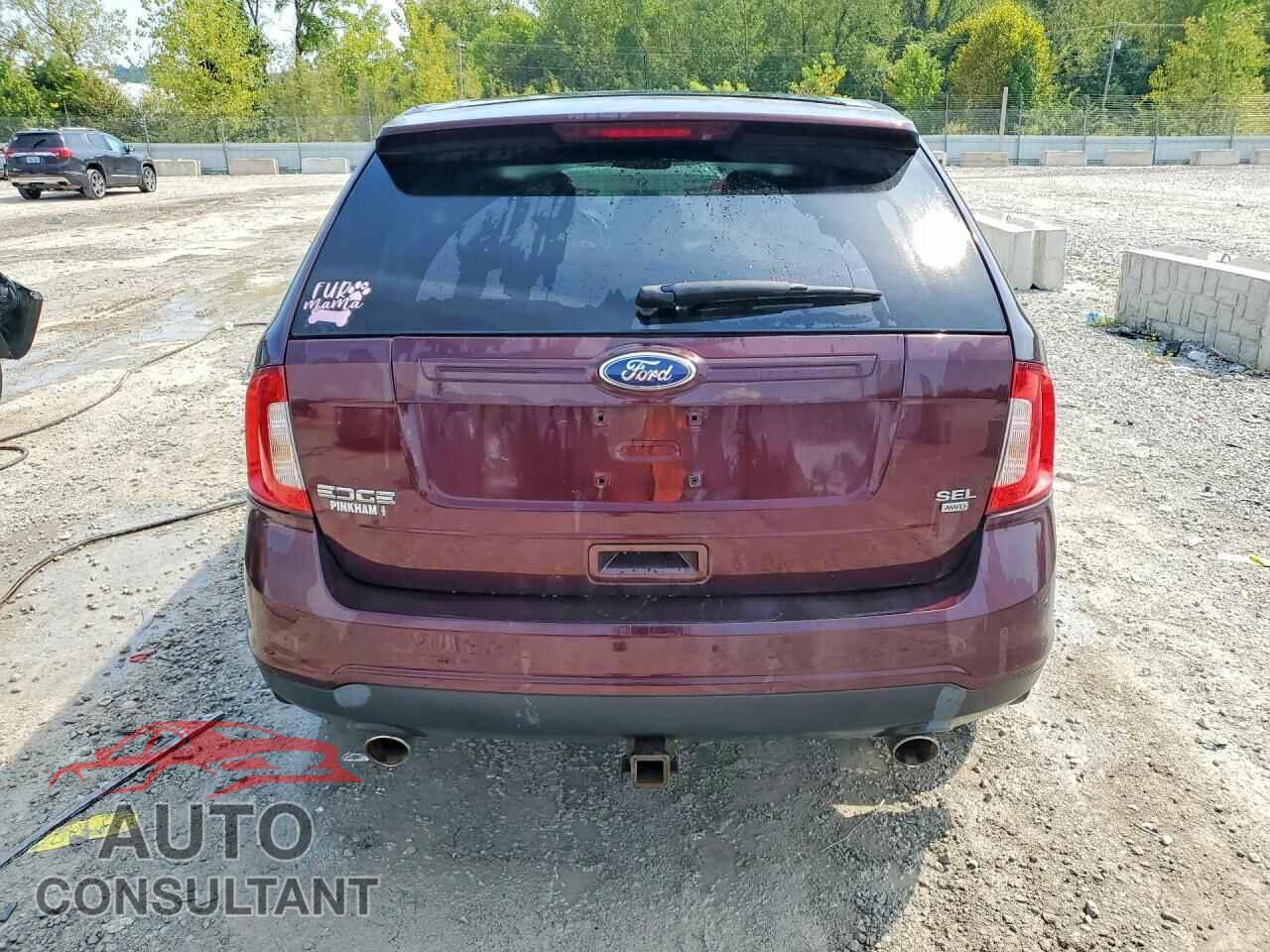 FORD EDGE 2011 - 2FMDK4JC9BBA24242