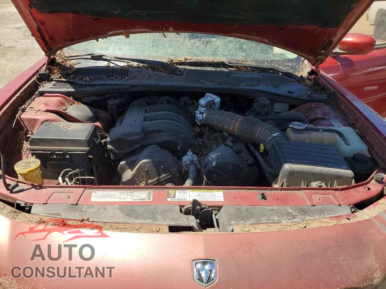 DODGE CHARGER 2010 - 2B3CA4CD4AH183451
